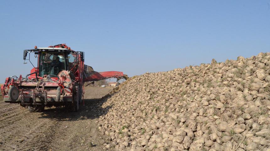 Pancar üreticisi fiyattan memnun!