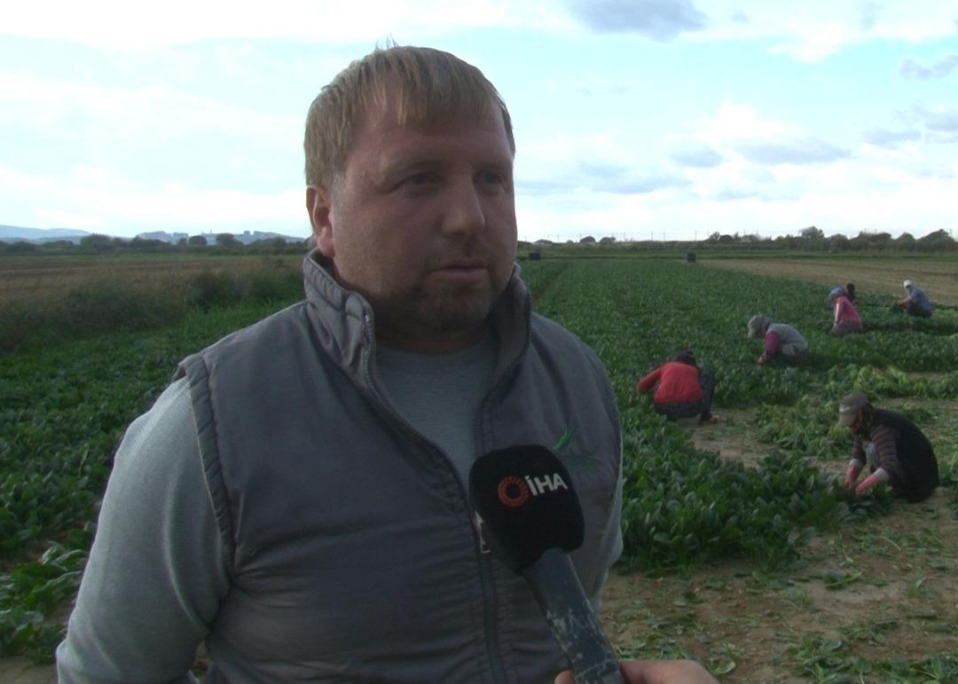 Kilosu tarlada 6, pazarda 40 TL! Kış aylarının vazgeçilmezi... 3