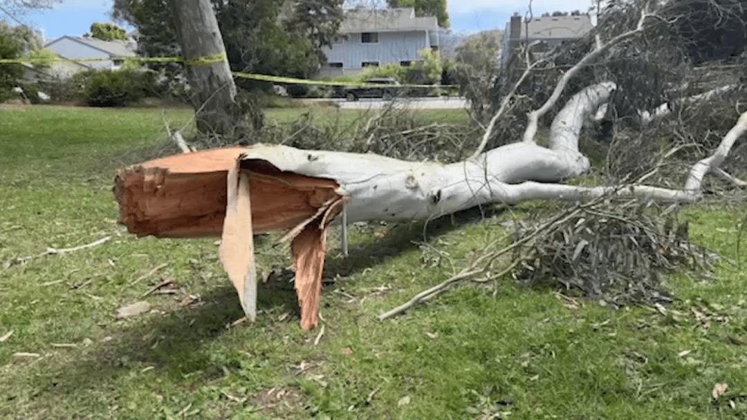 Babasının gözleri önünde oldu! 4 yaşındaki çocuğun trajik ölümü... 1