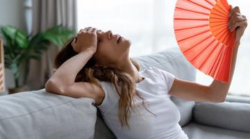 Avrupalılar, aşırı sıcaklardan kavrulmalarına rağmen neden inatla klima taktırmıyor?