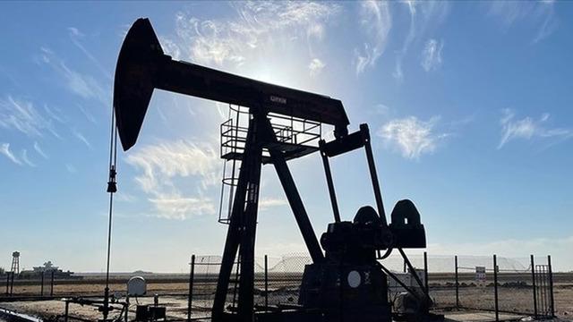 OPEC'in ham petrol üretimi ekimde günlük 33 bin varil arttı