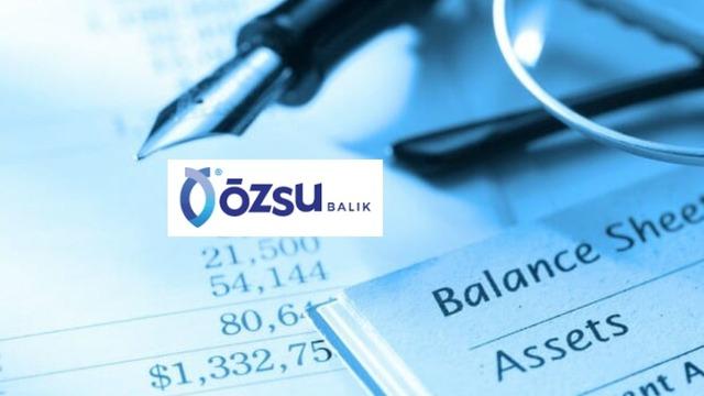 OZSUB 2025/3&Ccedil; bilan&ccedil;osunu paylaştı: K&acirc;rlılıkta artış