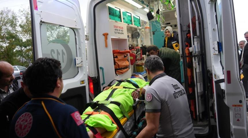 Mantar toplarken ayının saldırısına uğrayan imam yaralandı