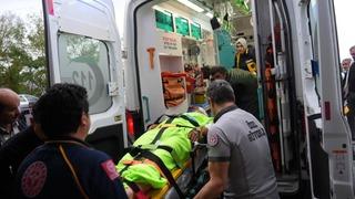 Mantar toplarken ayının saldırısına uğrayan imam yaralandı