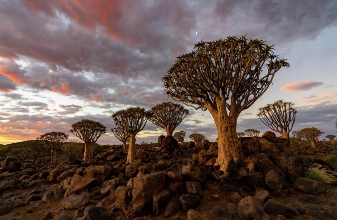 Kış tatili i&ccedil;in birbirinden g&uuml;zel &ouml;neriler bu i&ccedil;erikte! 10