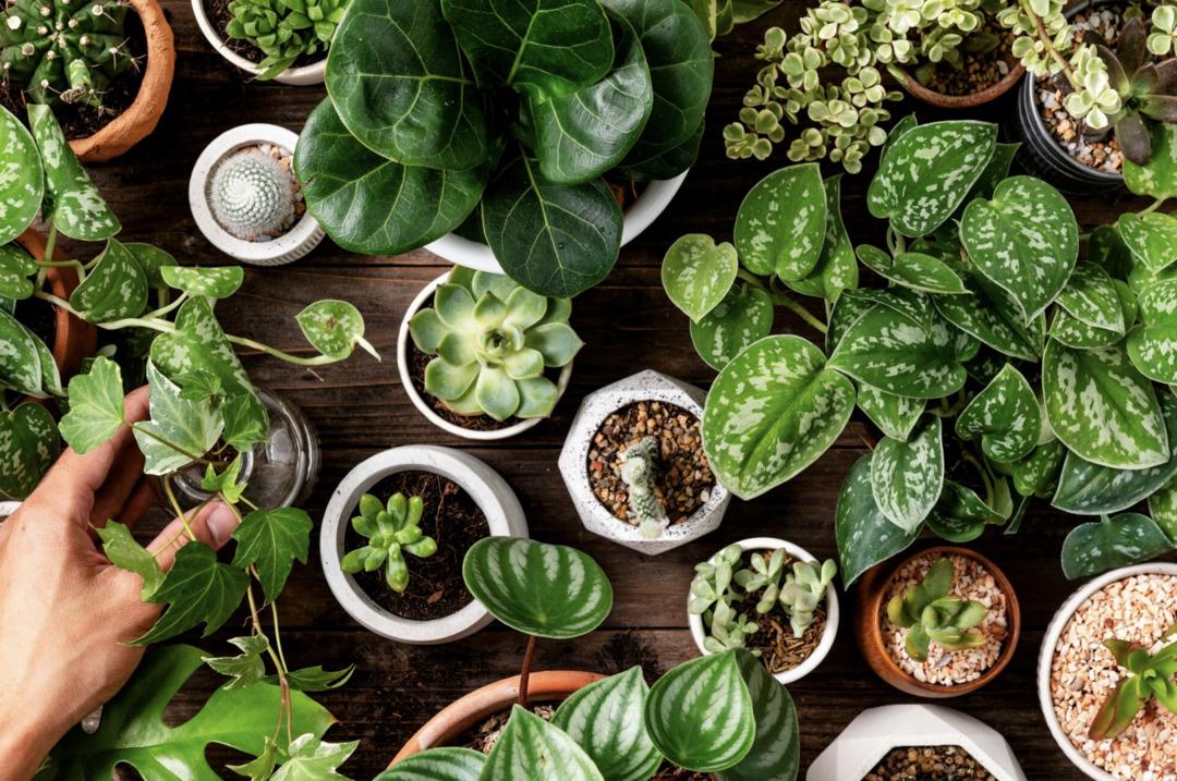 Havalar soğumadan evde yapılması gereken 10 kış hazırlığı 8