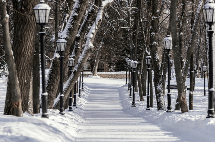 Peki kar yağdığında ilk işin ne olur?