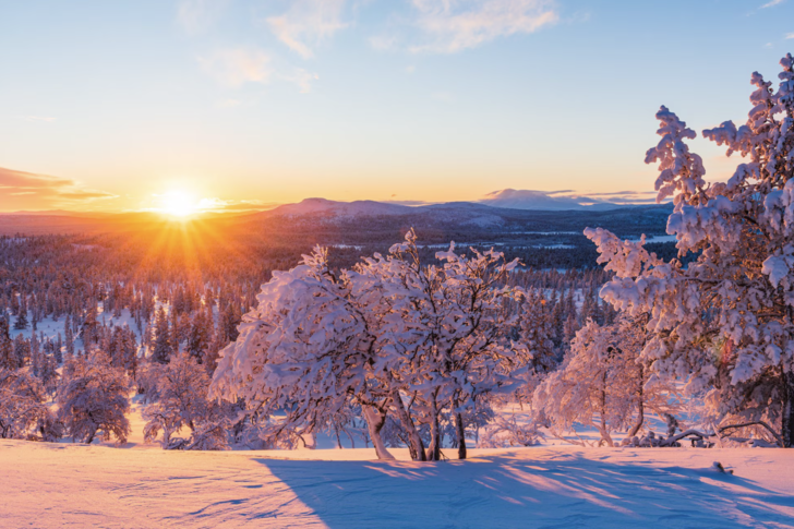Peki kışın hangi kokular seni mutlu ediyor?