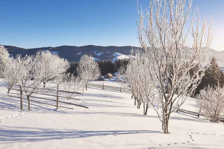 Kış filmlerinde hangi karakter senin tarzın?
