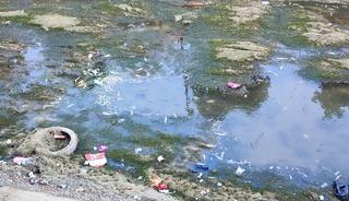 Sulama kanalındaki balıklar telef olmaya devam ediyor