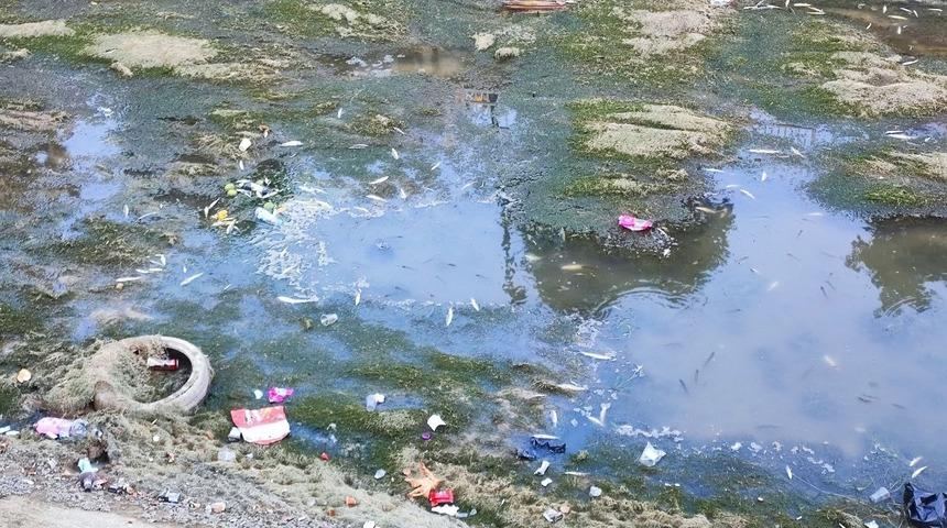 Sulama kanalındaki balıklar telef olmaya devam ediyor