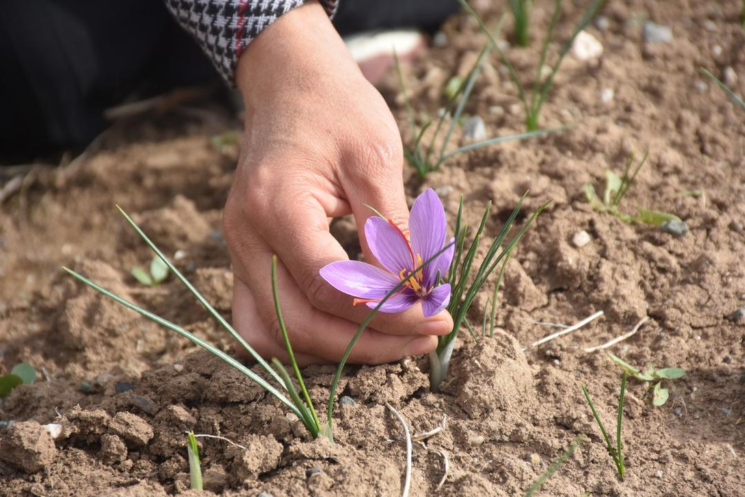 Eşini kaybettiği beyin tümörü sürecinde bulamadı: Artık kendi safran üretiyor... 3