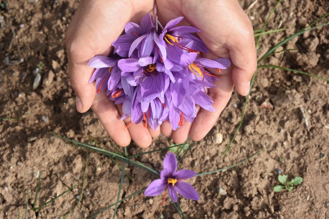 Eşini kaybettiği beyin tümörü sürecinde bulamadı: Artık kendi safran üretiyor... 6