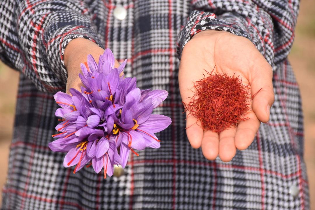 Eşini kaybettiği beyin tümörü sürecinde bulamadı: Artık kendi safran üretiyor... 5