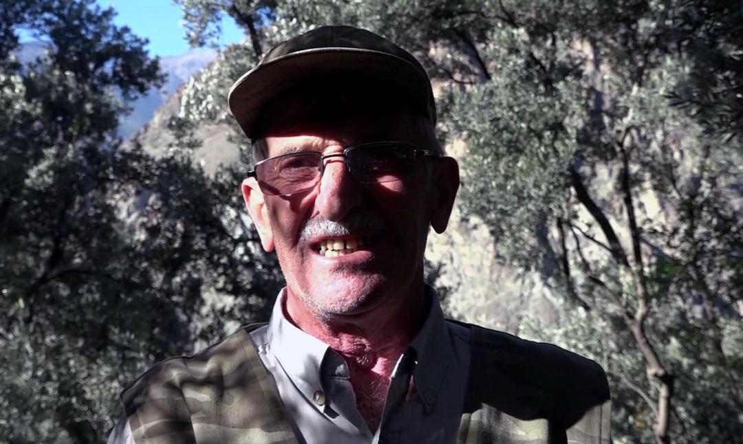 12 metre yüksekte yetişiyor: Ödülü bile var! Kilosu 400 TL, dünyaca ünlü 1