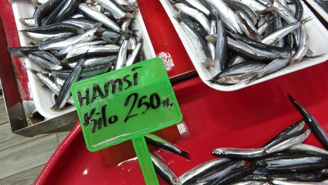 Balıkçılar bu 3 balığın peşinde! Sadece 4 ayları var 5