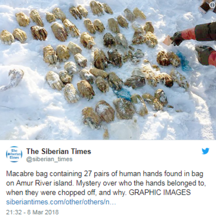 54 kesik elin sırrı çözüldü G2