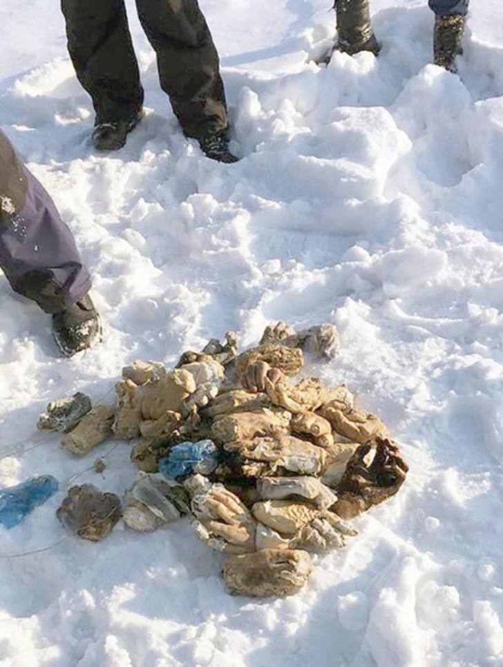 54 kesik elin sırrı çözüldü G3