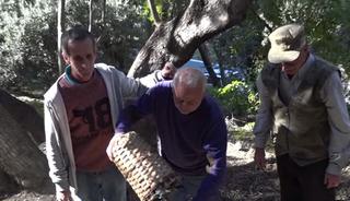 Ödülü bile var! Kilosu 400 TL, dünyaca ünlü