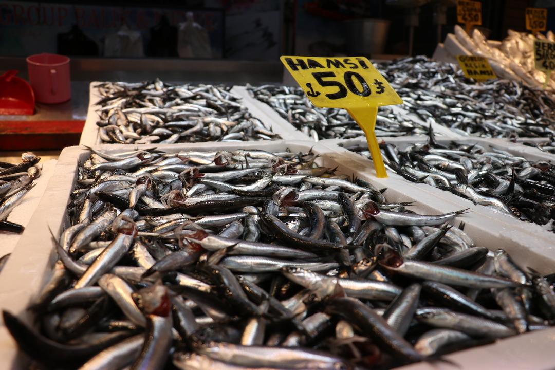 Fırsat çok iyi Kilosu 50 TL Bundan ucuzu yok 2