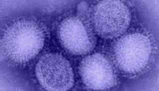 Kuzey Yarımküre'de 'H3N2' alarmı! "Benzeri görülmemiş grip vakaları yaşanıyor"