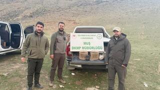 Kafes avcılığı yapan şahıs suçüstü yakalandı: 20 bin TL ceza