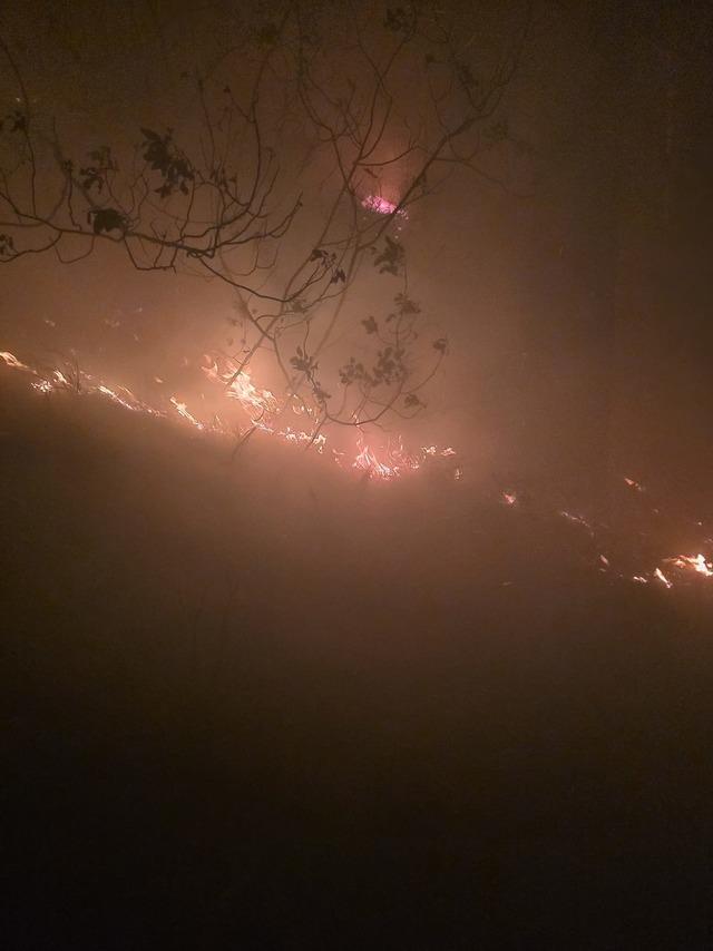 Hatay da çıkan orman yangını kontrol altına alındı 2