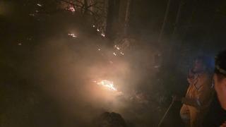 Hatay'da çıkan orman yangını kontrol altına alındı