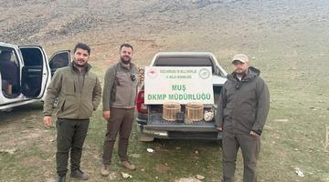 Kafes avcılığı yapan şahıs suçüstü yakalandı: 20 bin TL ceza