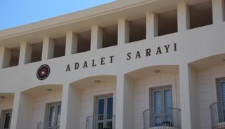 Köpekleri tüfekle vuran şahıs tutuklandı