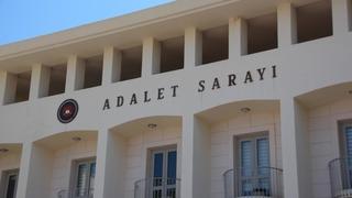 Köpekleri tüfekle vuran şahıs tutuklandı