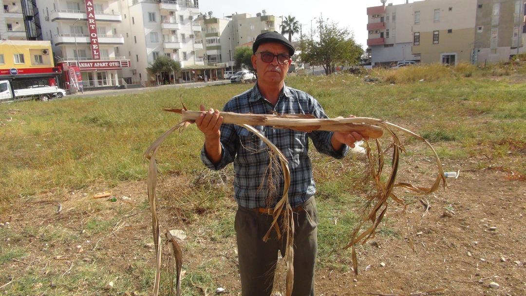 Yok b&ouml;yle bir yetenek! 25 yıl &ouml;nce keşfetmiş, bulunca elektrik &ccedil;arpıyor!  2