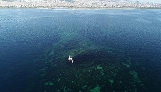 Büyük depremde suya gömülmüştü! İstanbul'daki o ada yeniden belirdi