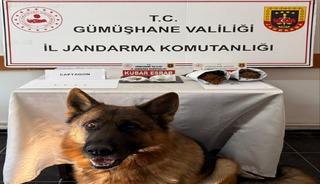 Gümüşhane’de uyuşturucu operasyonunda 4 kişi yakalandı