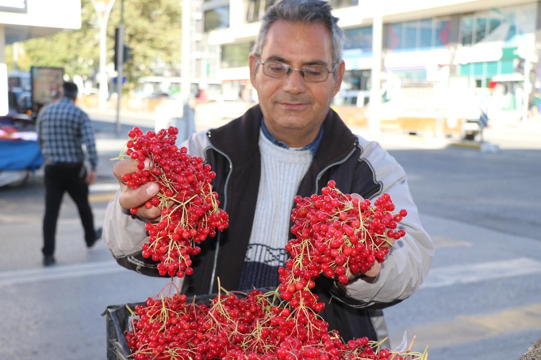  Gen&ccedil;lik iksiri  olarak biliniyor: Şifa deposu gilaburuya yoğun ilgi 3