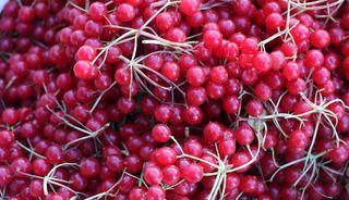 'Gençlik iksiri' olarak biliniyor