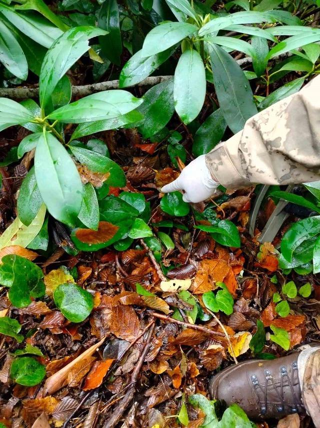 Son kayıp eşyası bulundu! Anne oğlun gizemli ölümüne ışık tutacak keşif 3