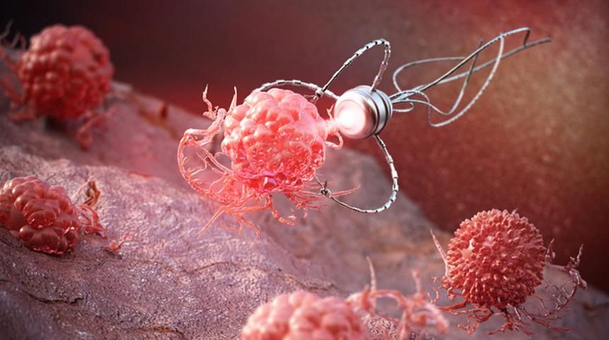 Devrim niteliğinde: 'Mikro robot' d&ouml;nemi: Test başarılı...