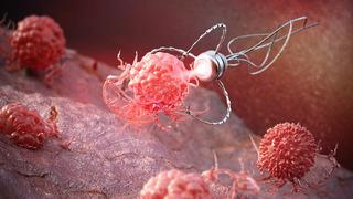 Devrim niteliğinde: 'Mikro robot' dönemi: Test başarılı...