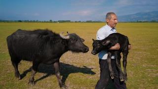Tokatlı fırın ustasının Paris’teki ödül sevinci vize engeline takıldı