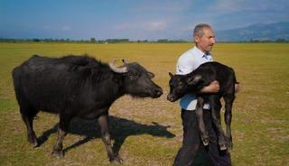 Tokatlı fırın ustasının Paris’teki ödül sevinci vize engeline takıldı