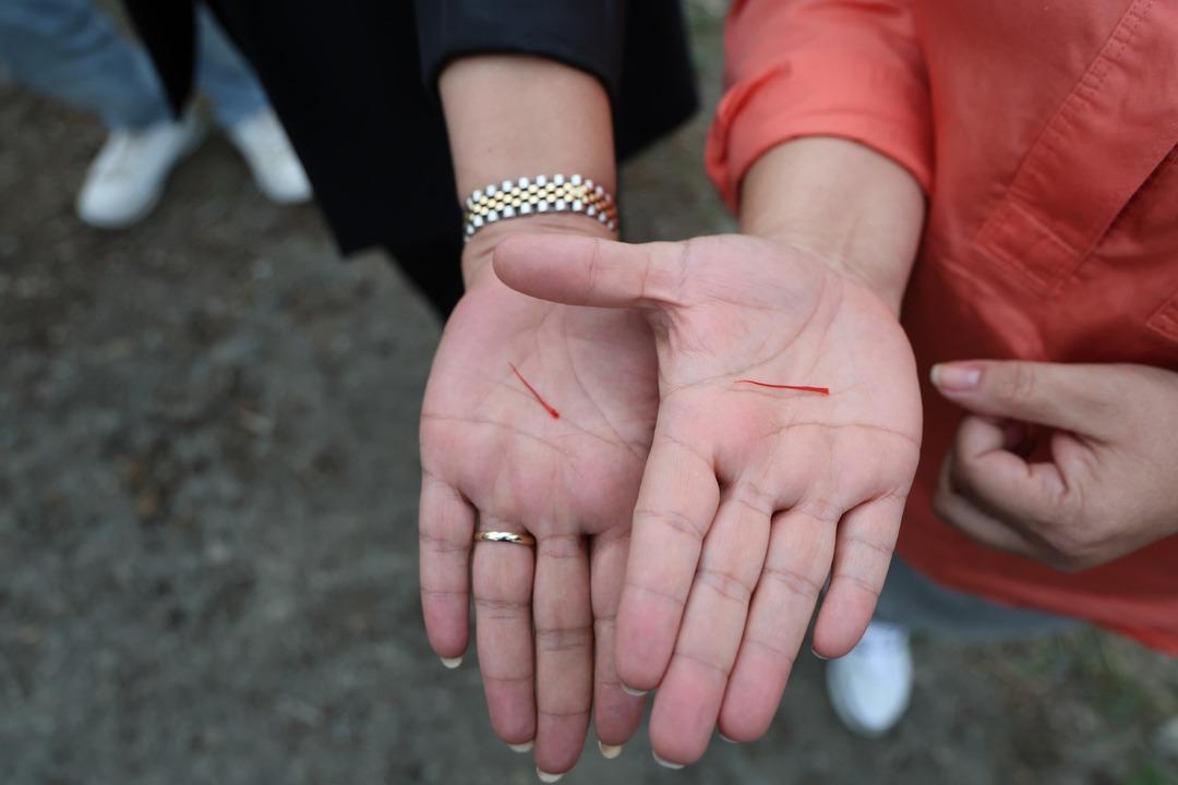 Dünyanın en pahalı baharatı! Gramı 600 TL 3