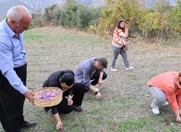 Dünyanın en pahalı baharatı! Gramı 600 TL