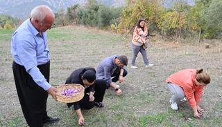 Dünyanın en pahalı baharatı! Gramı 600 TL