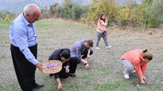 Dünyanın en pahalı baharatı! Gramı 600 TL