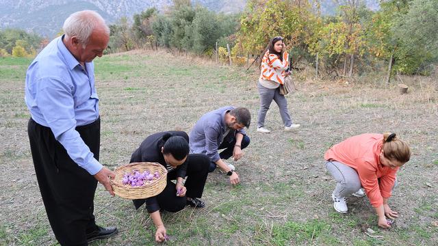 Dünyanın en pahalı baharatı! Gramı 600 TL