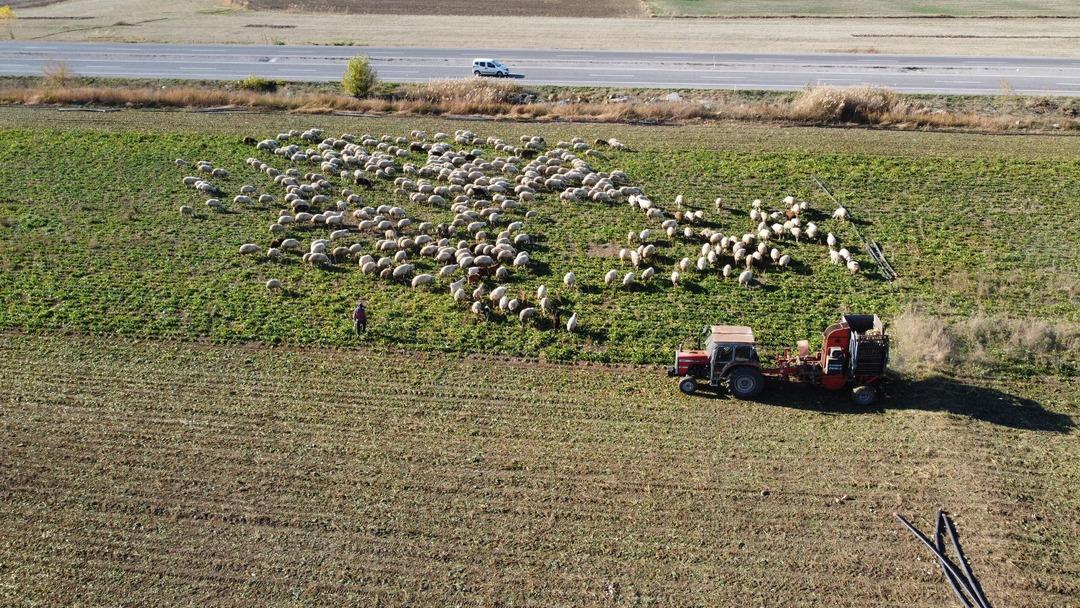 6 ay mesai yapıp fabrikaya satıyorlar  Sıraya giriyoruz  2