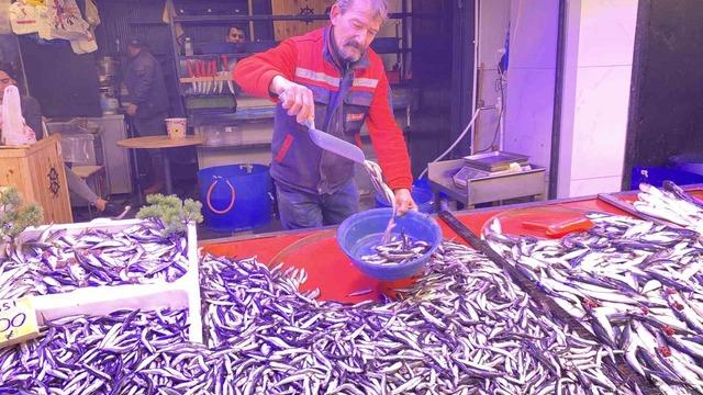 Denizlerde bollaşan hamsi tezgahlarda 100 TL’ye yer buldu