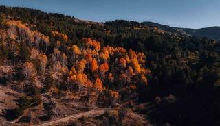 Karagöl Tabiat Parkı’nda sonbahar, renkli görüntüler oluşturdu