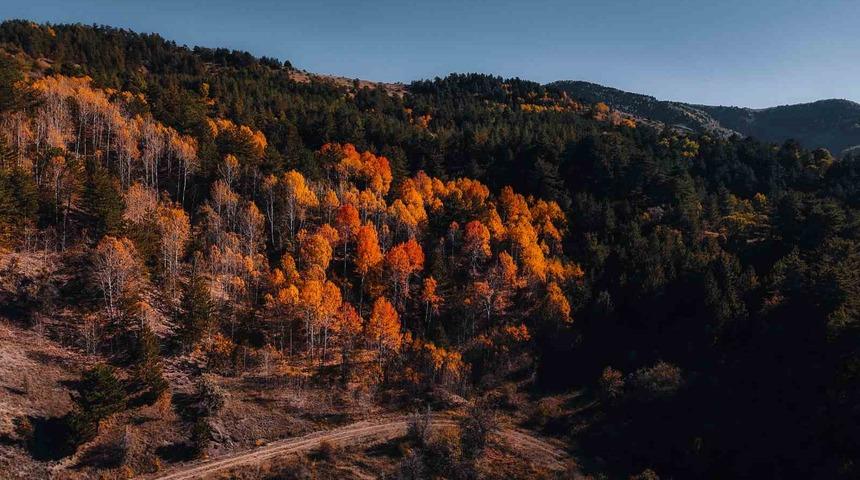 Karag&ouml;l Tabiat Parkı&rsquo;nda sonbahar, renkli g&ouml;r&uuml;nt&uuml;ler oluşturdu